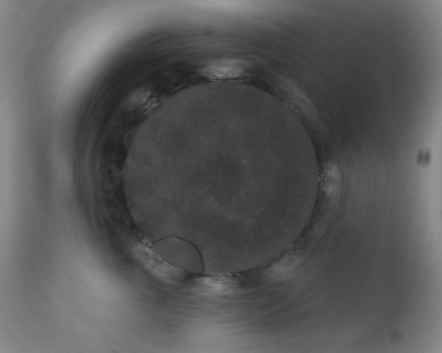 X0000110960763200906191312