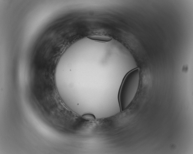 X0000110960764200906191312