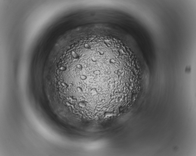 X0000110960765200906191312