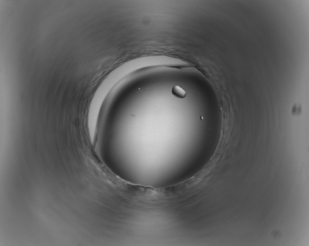 X0000110960768200906191312