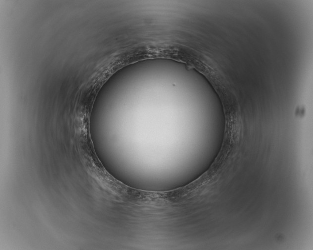 X0000110960770200906191311