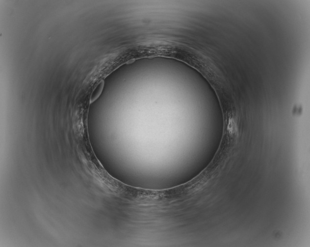 X0000110960771200906191311