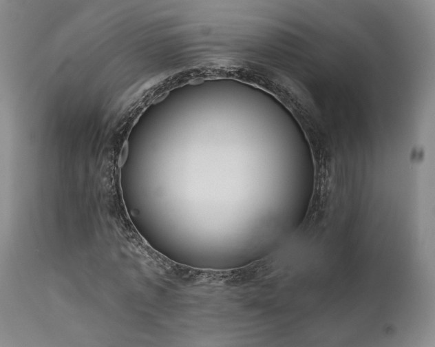 X0000110960773200906191311