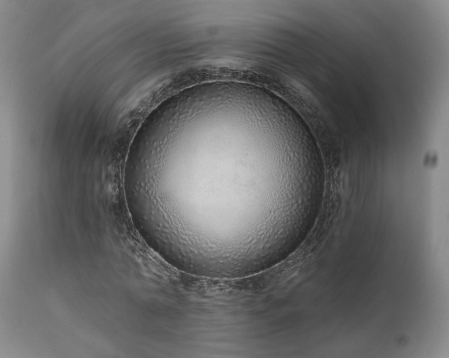 X0000110960774200906191311