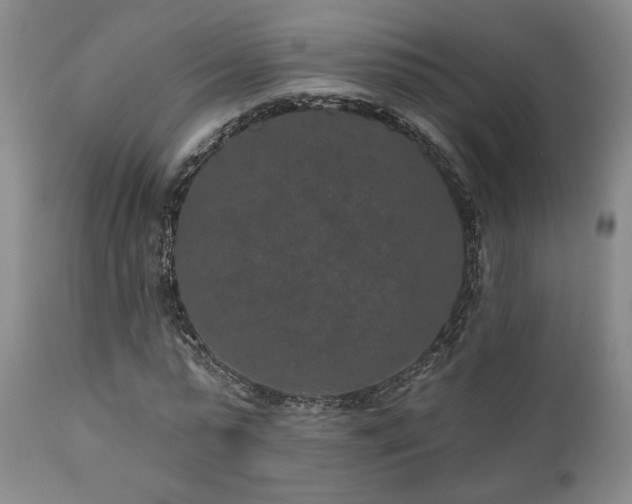 X0000110960775200906191311