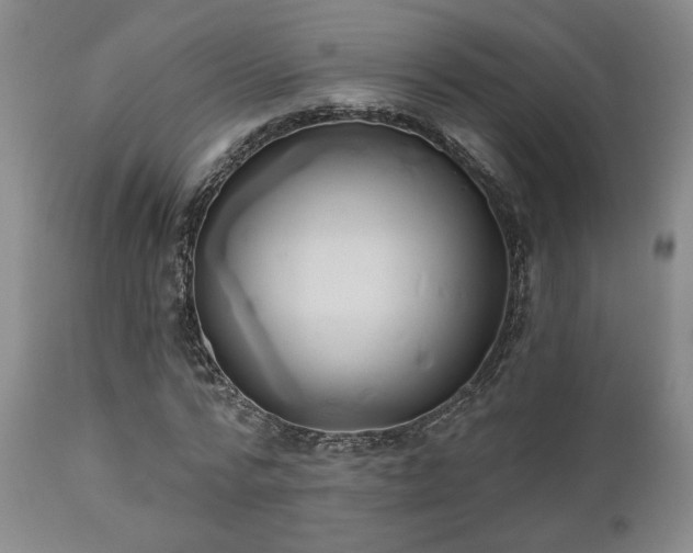 X0000110960776200906191311