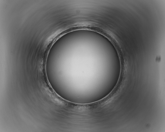 X0000110960778200906191311
