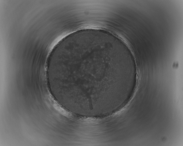 X0000110960779200906191311