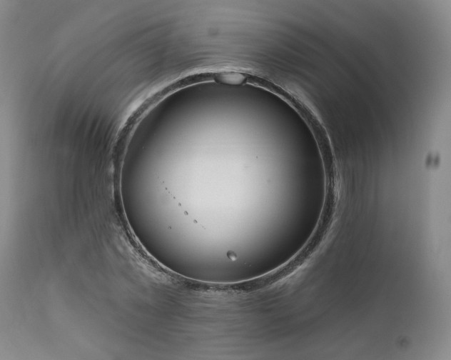 X0000110960781200906191311
