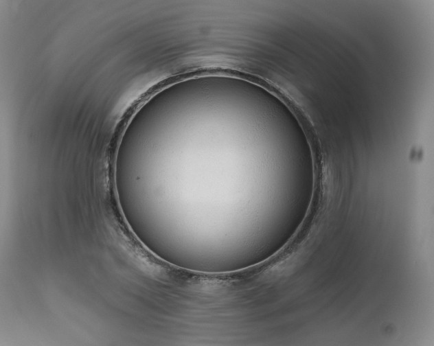 X0000110960782200906191311
