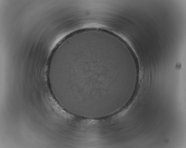 X0000110960783200906191311
