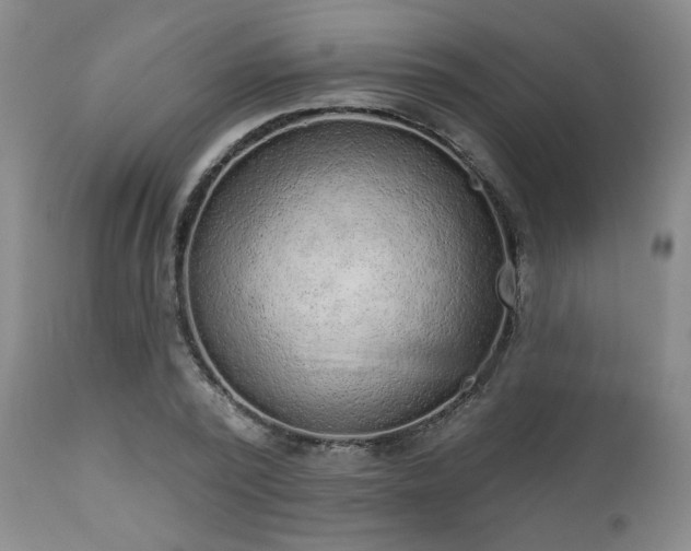 X0000110960784200906191311