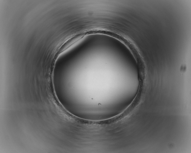 X0000110960785200906191311