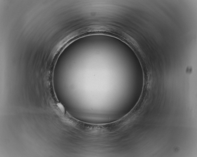 X0000110960786200906191311