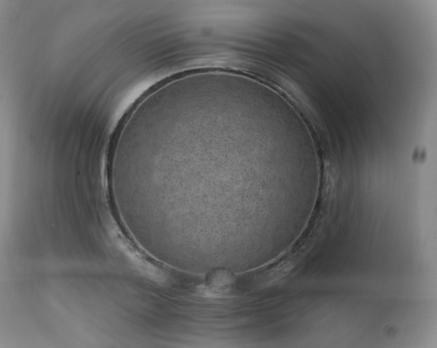 X0000110960788200906191311