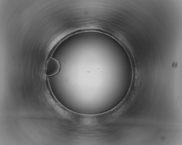 X0000110960789200906191311