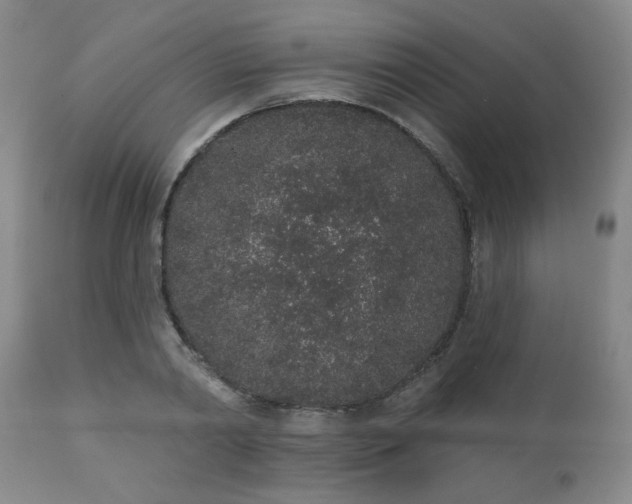 X0000110960790200906191311