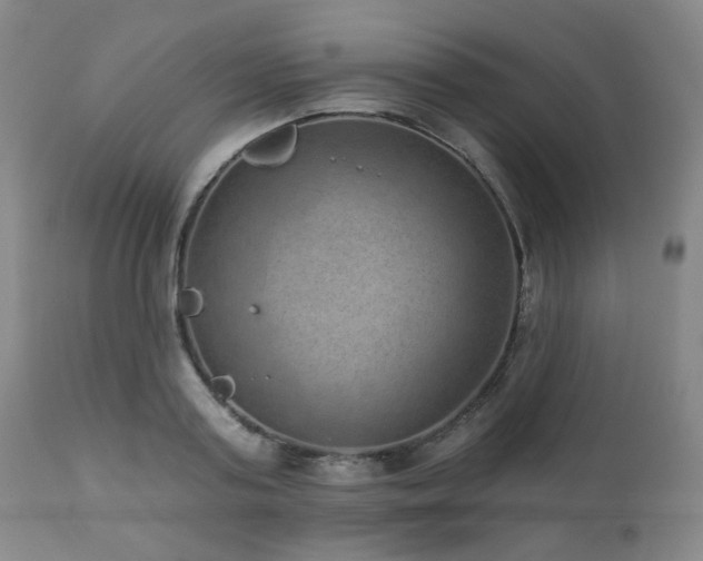 X0000110960795200906191311