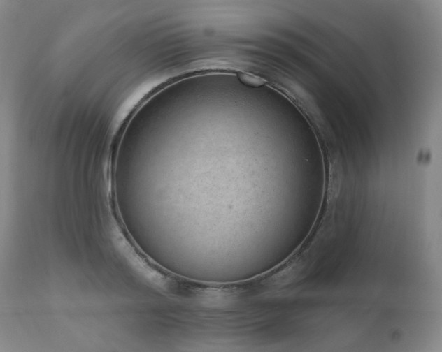 X0000110960796200906191311