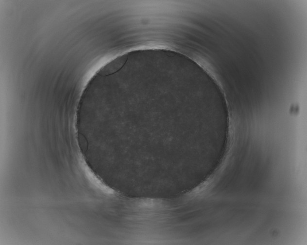 X0000110960797200906191311