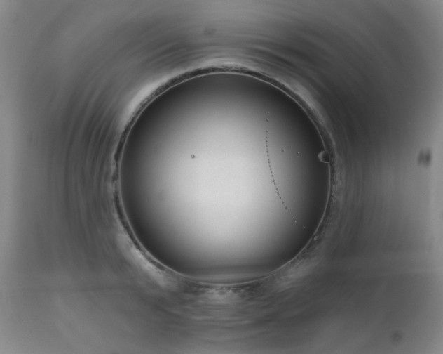 X0000110960799200906191311
