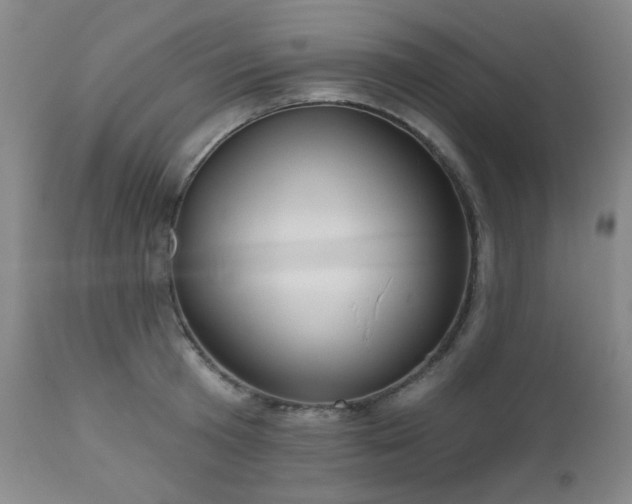 X0000110960801200906191311