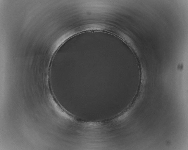 X0000110960802200906191311