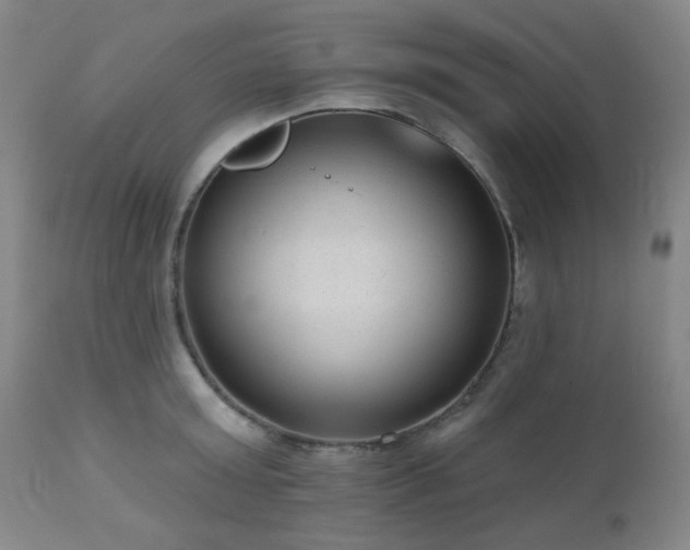 X0000110960803200906191311