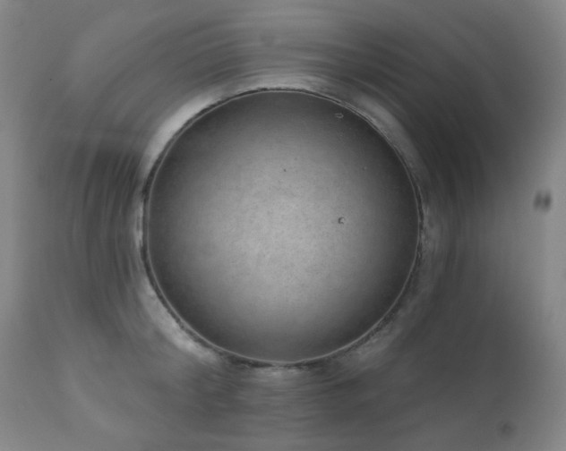 X0000110960804200906191311