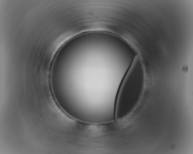 X0000110960805200906191311