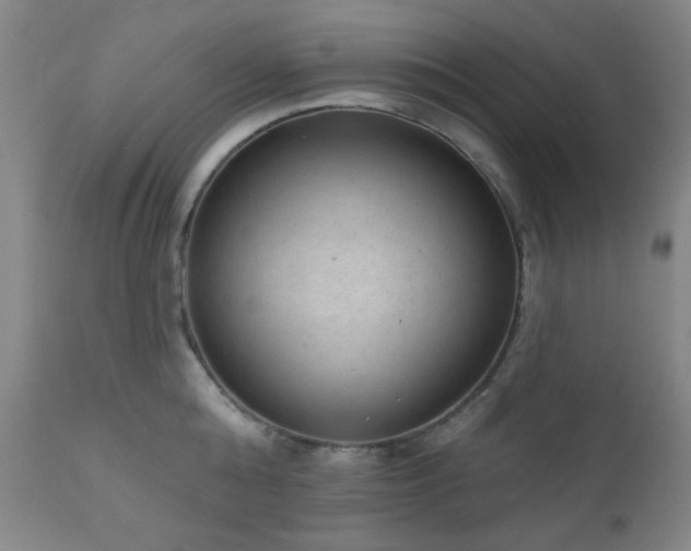 X0000110960808200906191311