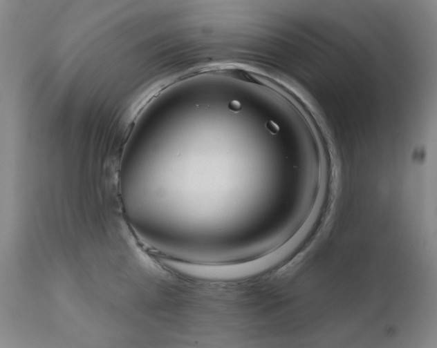 X0000110960809200906191311