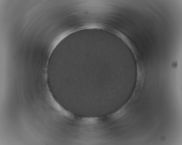 X0000110960810200906191311