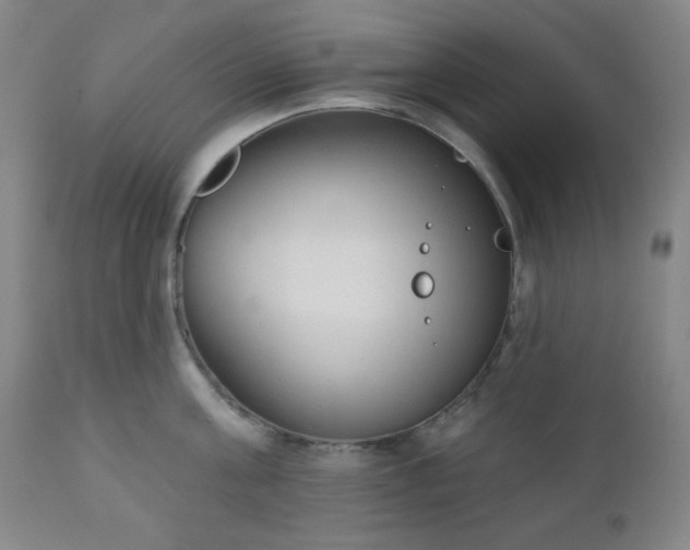 X0000110960811200906191310