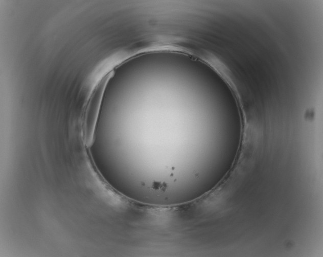 X0000110960813200906191310