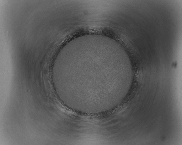 X0000110960817200906191310