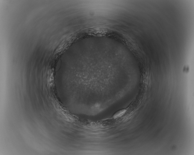 X0000110960818200906191310