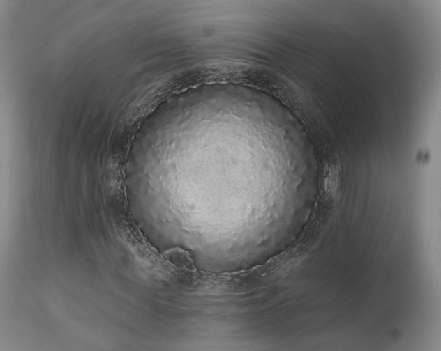X0000110960819200906191310