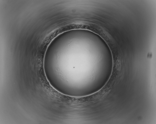 X0000110960821200906191310