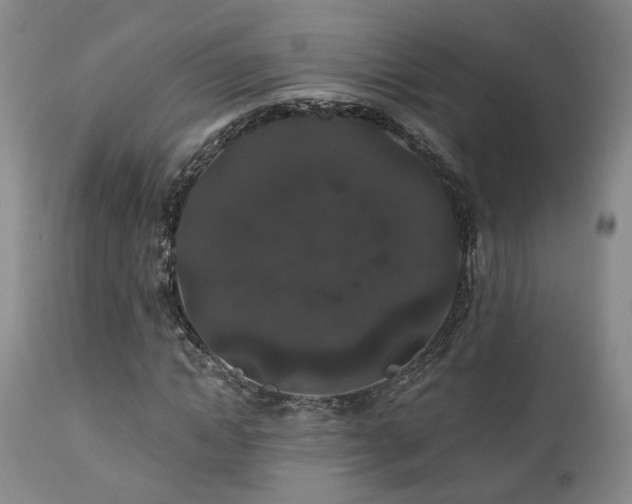 X0000110960822200906191310