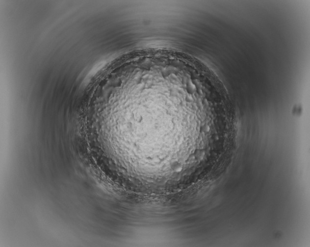 X0000110960823200906191310