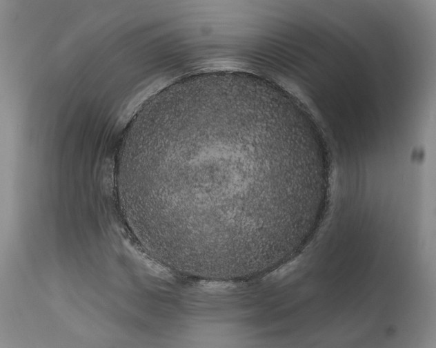 X0000110960825200906191310