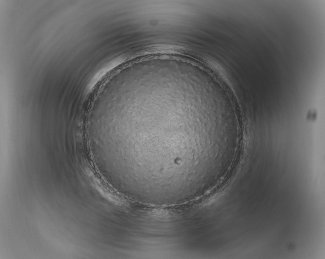 X0000110960827200906191310