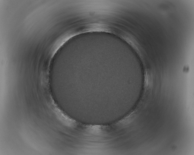 X0000110960828200906191310