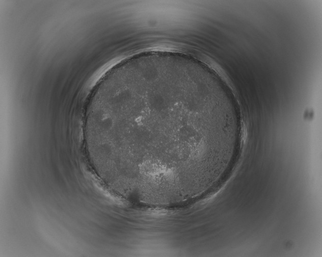 X0000110960829200906191310