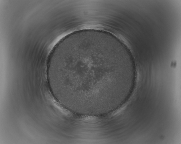 X0000110960830200906191310