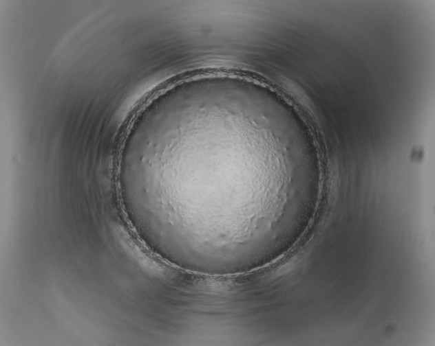 X0000110960831200906191310