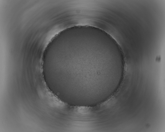 X0000110960832200906191310