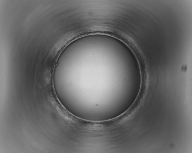 X0000110960833200906191310