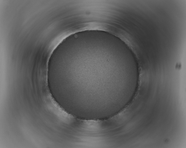 X0000110960836200906191310